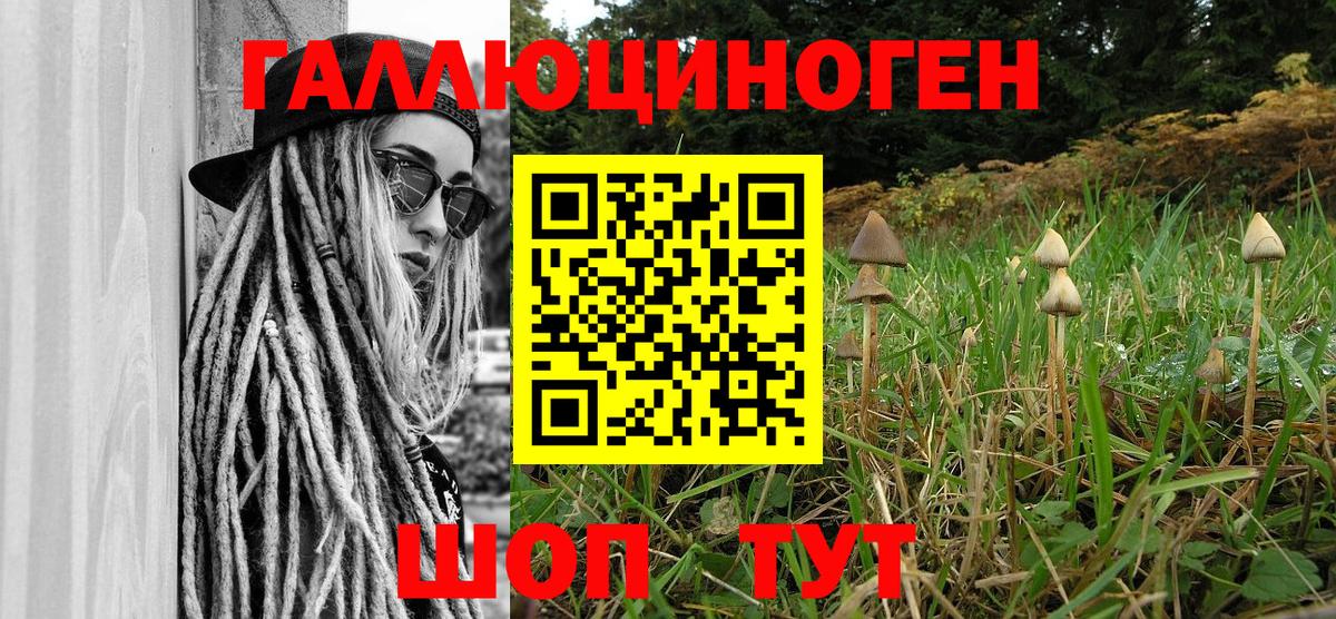 Галлюциногенные грибы MAGIC MUSHROOMS Краснокамск