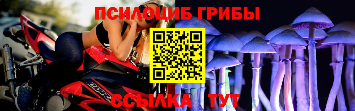 Псилоцибиновые грибы GOLDEN TEACHER  цена   Краснокамск  Вход с VPN 